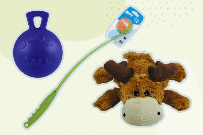 Dog Toy